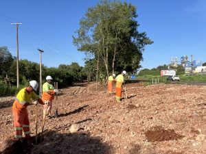 Rio Paranapanema: EPR Litoral Pioneiro e IAT realizam ação com plantação de árvores nativas em Jacarezinho