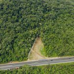 EPR Litoral Pioneiro finaliza obra de contenção de encosta em três pontos da BR-277
