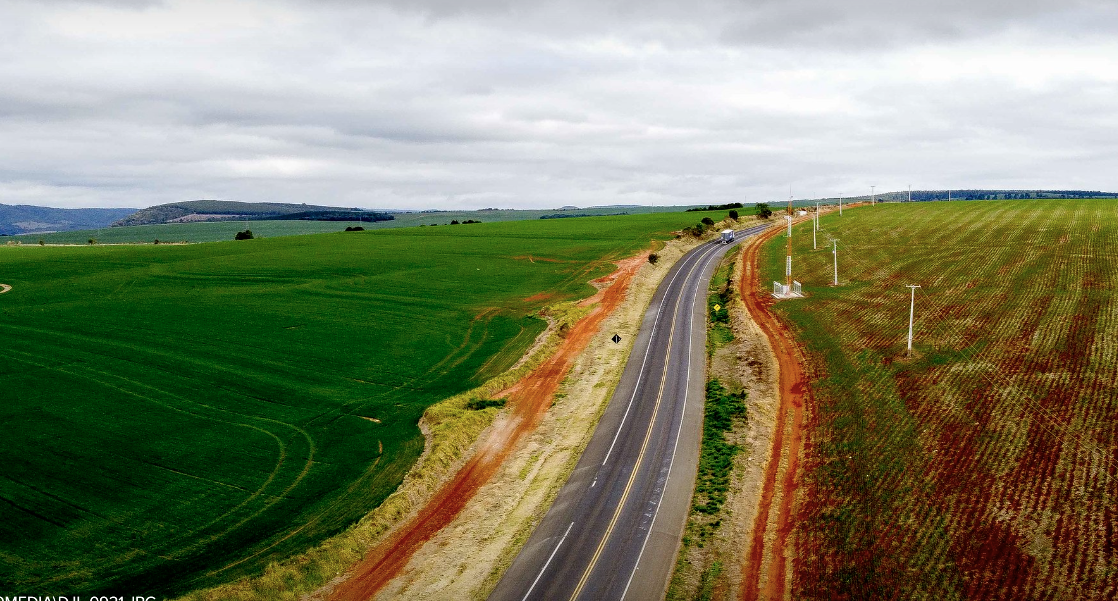 EPR Litoral Pioneiro divulga novo prazo para regularização de áreas de plantio nas margens de rodovias